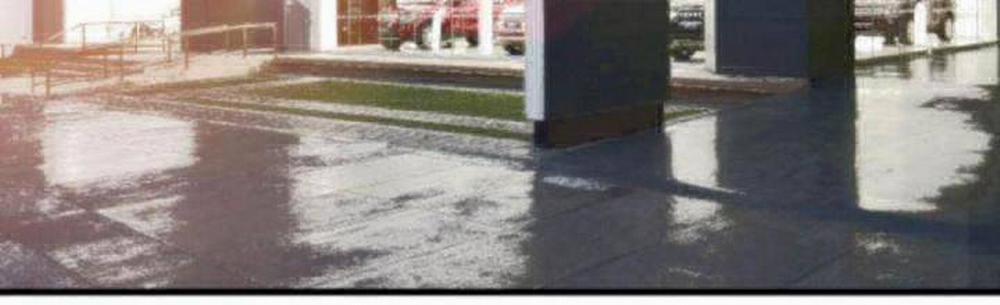 Ta Có 90 Tỷ Tiền Liếm Cẩu! 30 trang 2