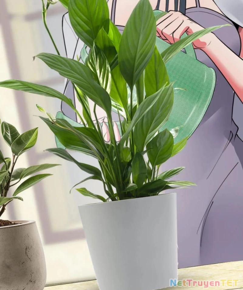 Ta Có 90 Tỷ Tiền Liếm Cẩu! 489 trang 7