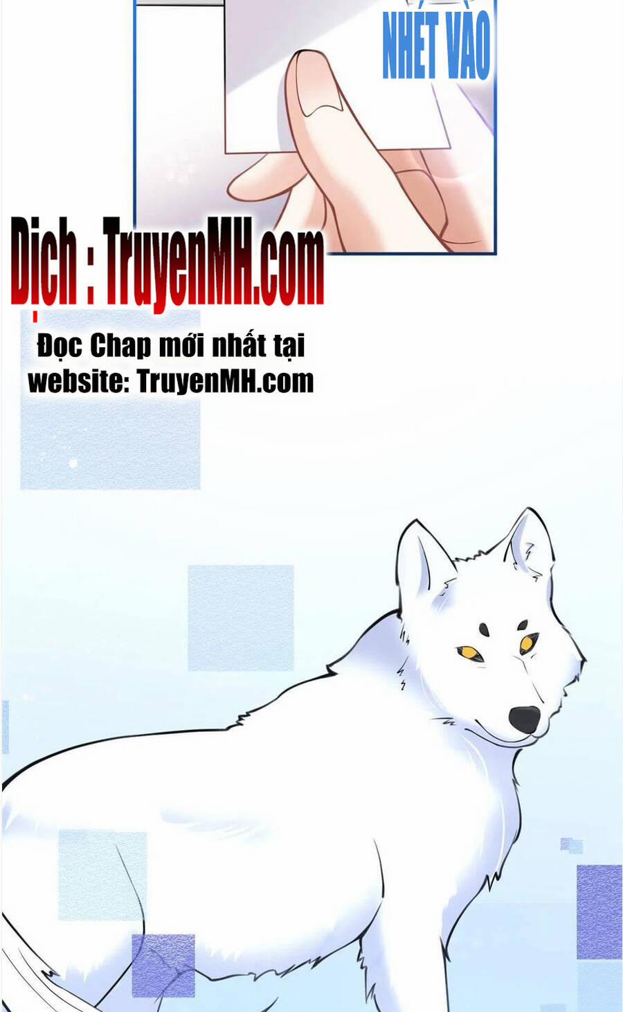 Ta Có Năm Đại Lão Ba Ba 305 trang 18