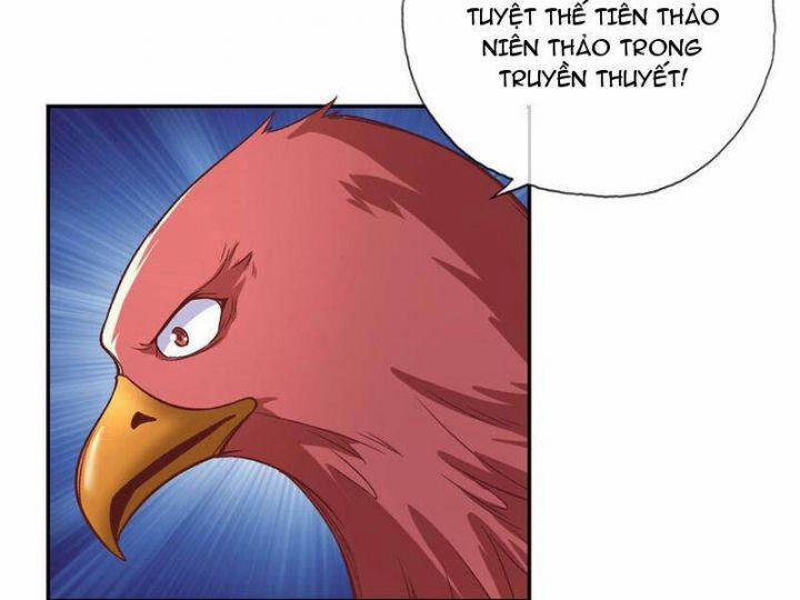 Ta Có Thể Đốn Ngộ Vô Hạn 72 trang 26