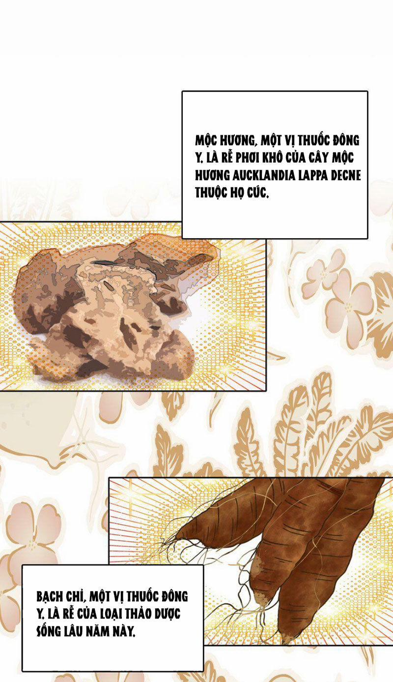 Ta Đây Chính Là Tuyệt Thế Cao Thủ 33 trang 10