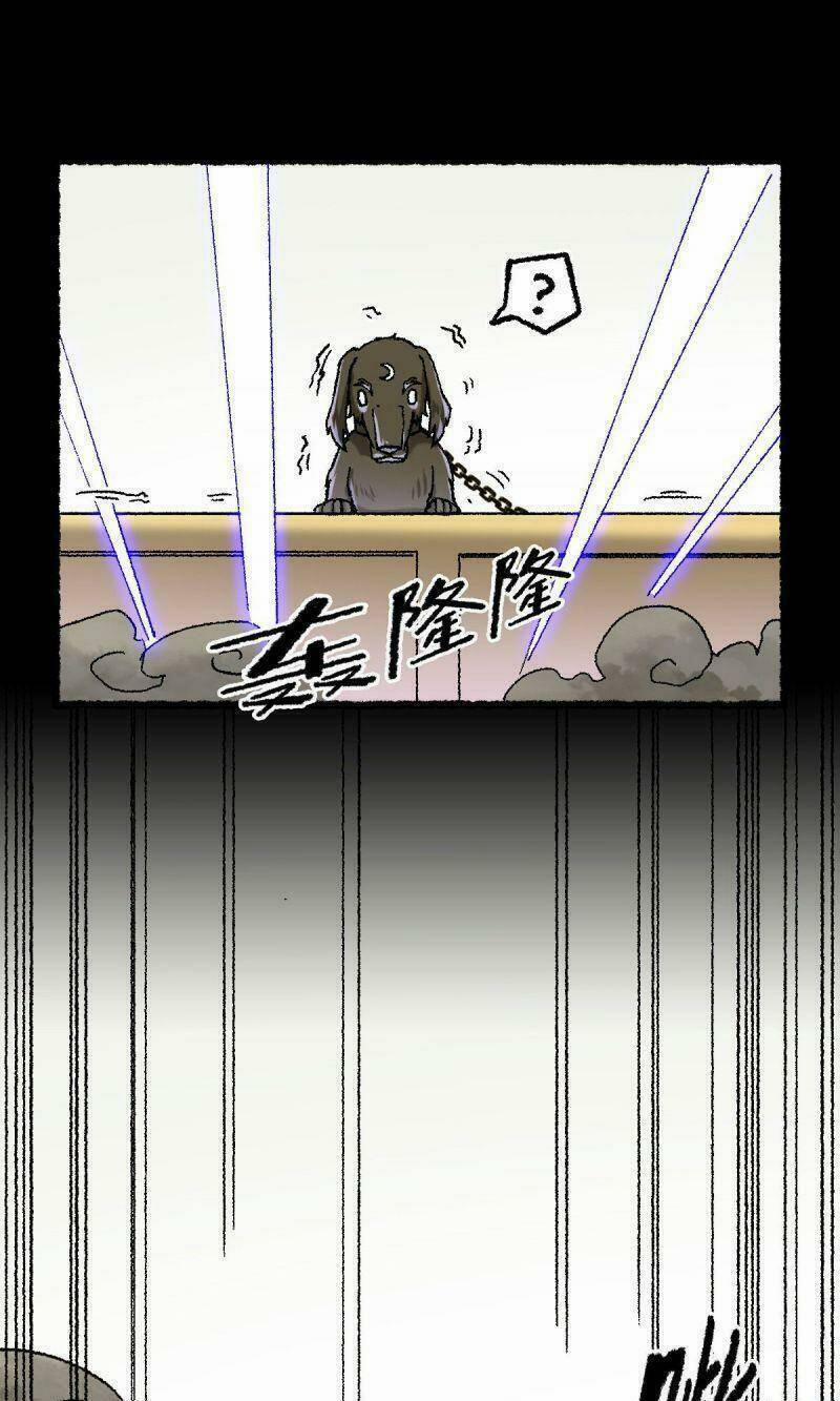 Ta Độ Kiếp Thất Bại Đều Là Tại Ngươi 67 trang 12