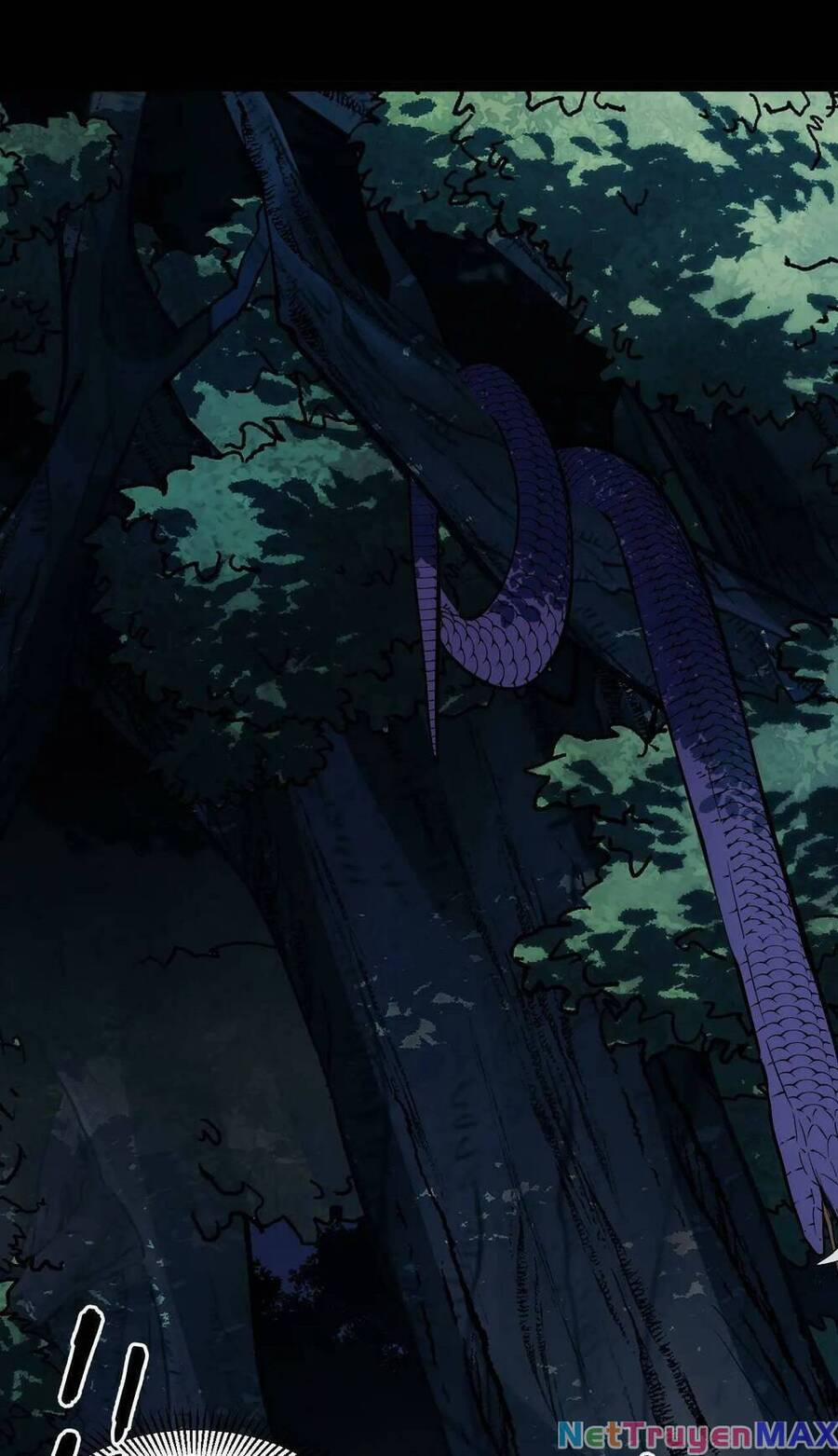 Ta Dựa Vào Thu Thập Vạn Vật Để Thăng Cấp 11 trang 3