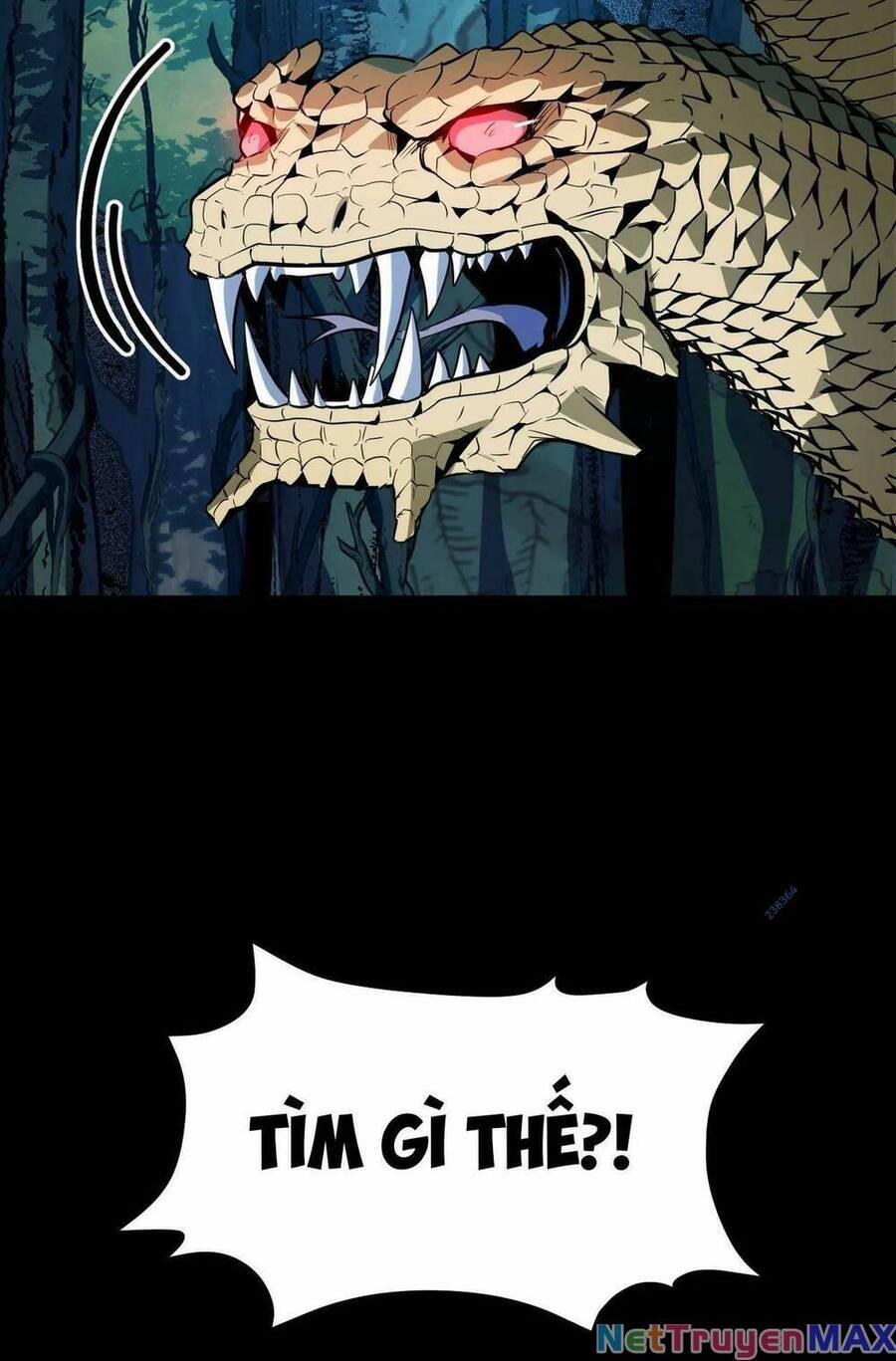 Ta Dựa Vào Thu Thập Vạn Vật Để Thăng Cấp 11 trang 50