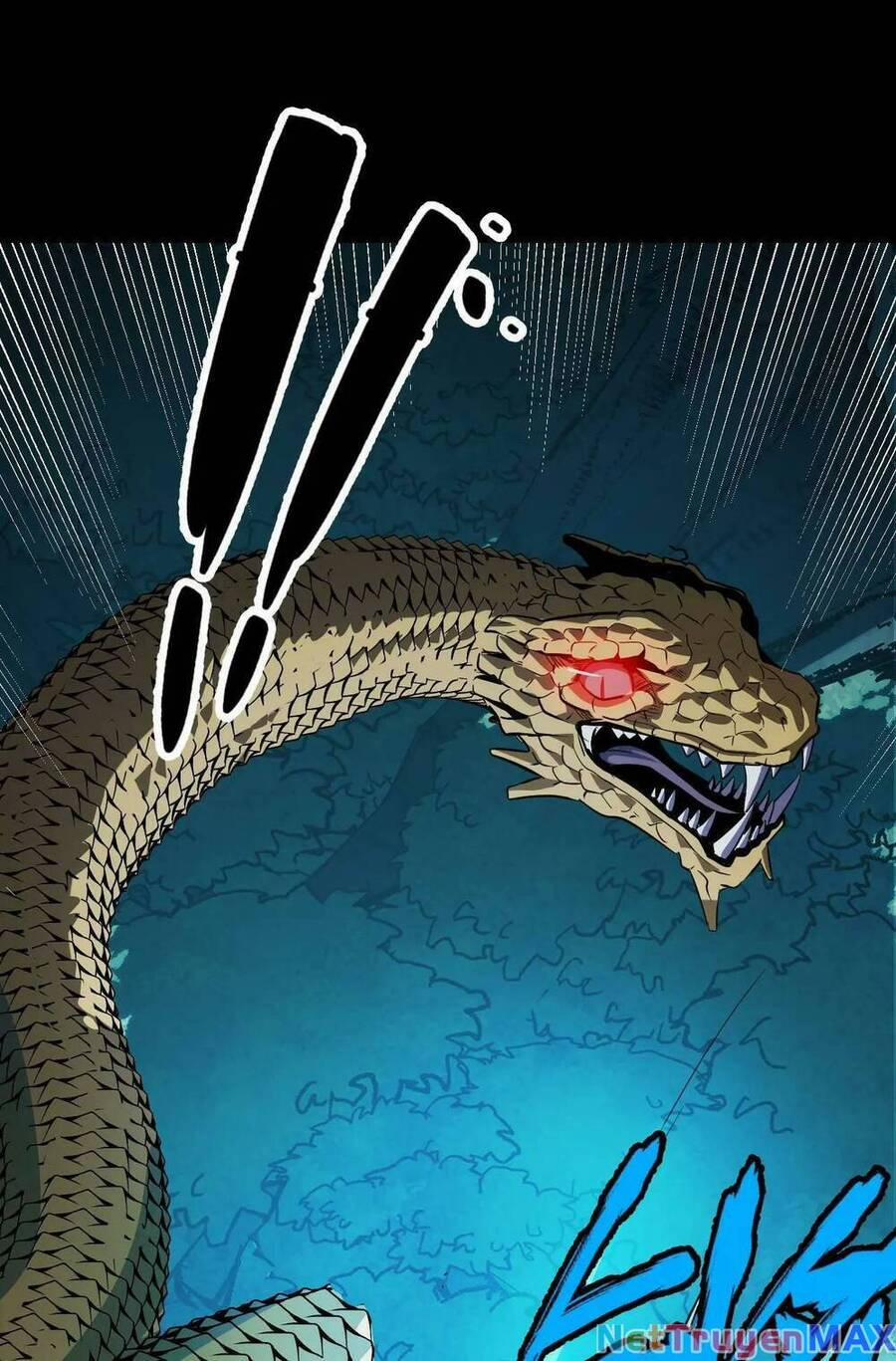 Ta Dựa Vào Thu Thập Vạn Vật Để Thăng Cấp 11 trang 51