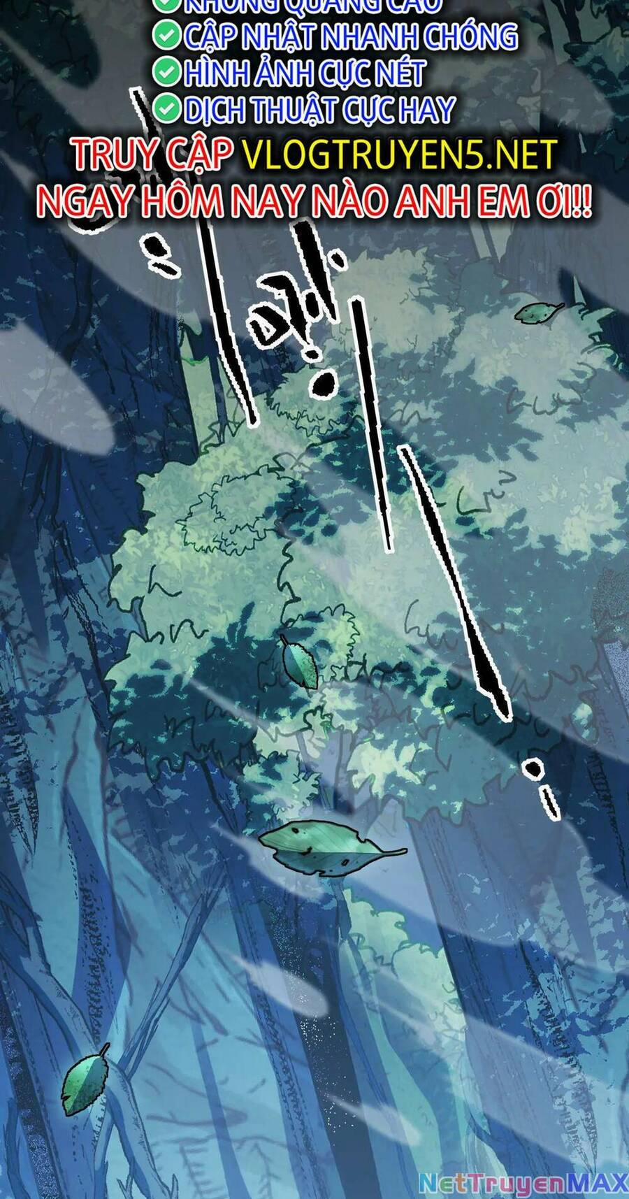 Ta Dựa Vào Thu Thập Vạn Vật Để Thăng Cấp 12 trang 14