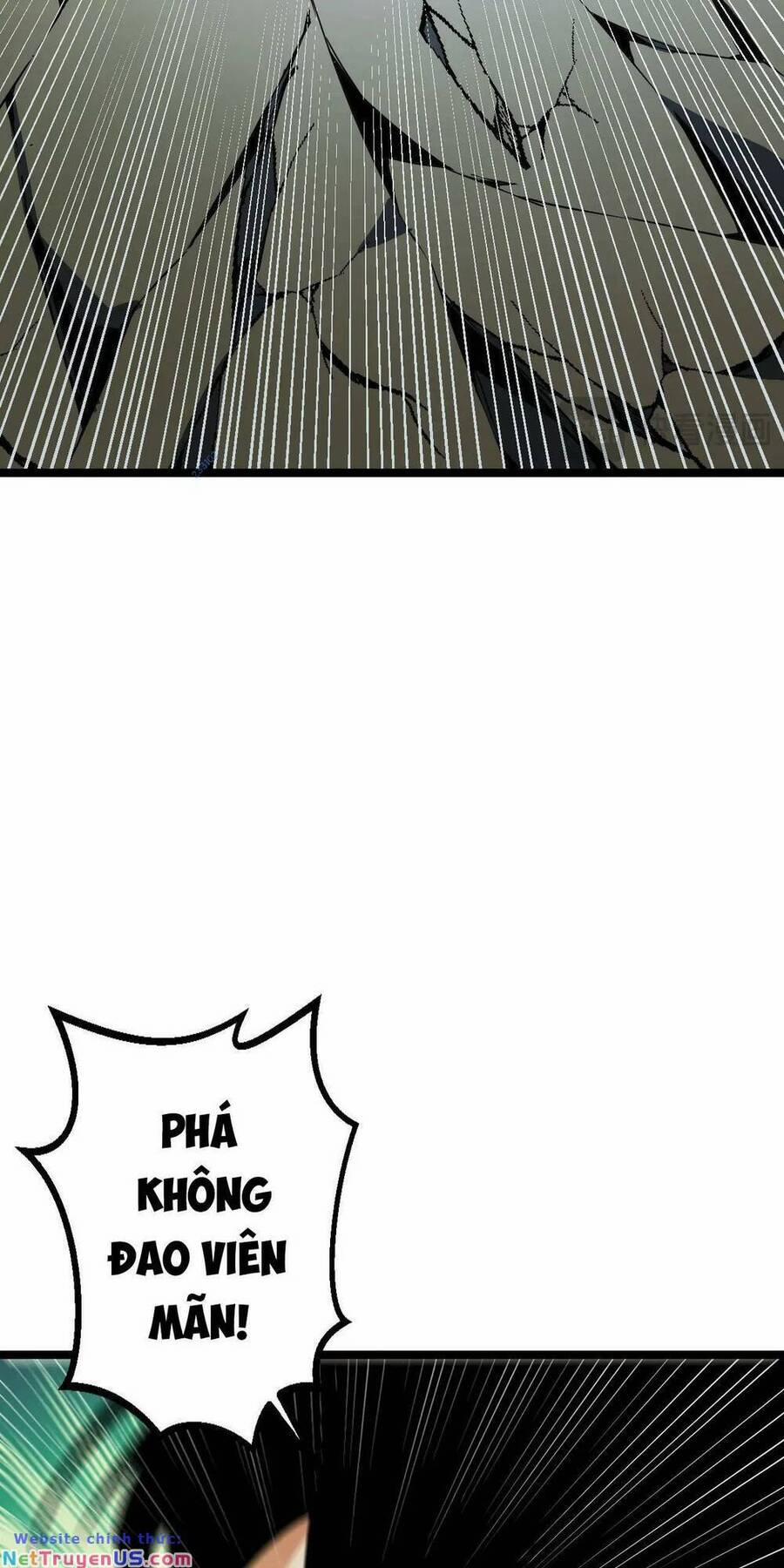 Ta Dựa Vào Thu Thập Vạn Vật Để Thăng Cấp 15 trang 24