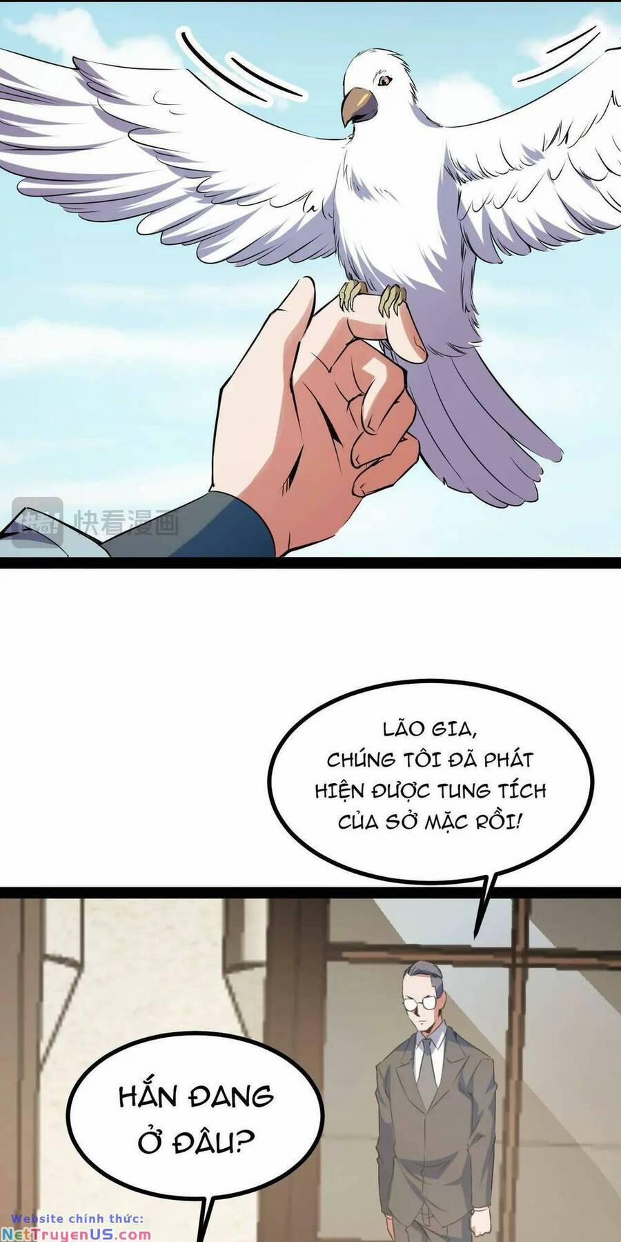 Ta Dựa Vào Thu Thập Vạn Vật Để Thăng Cấp 15 trang 49