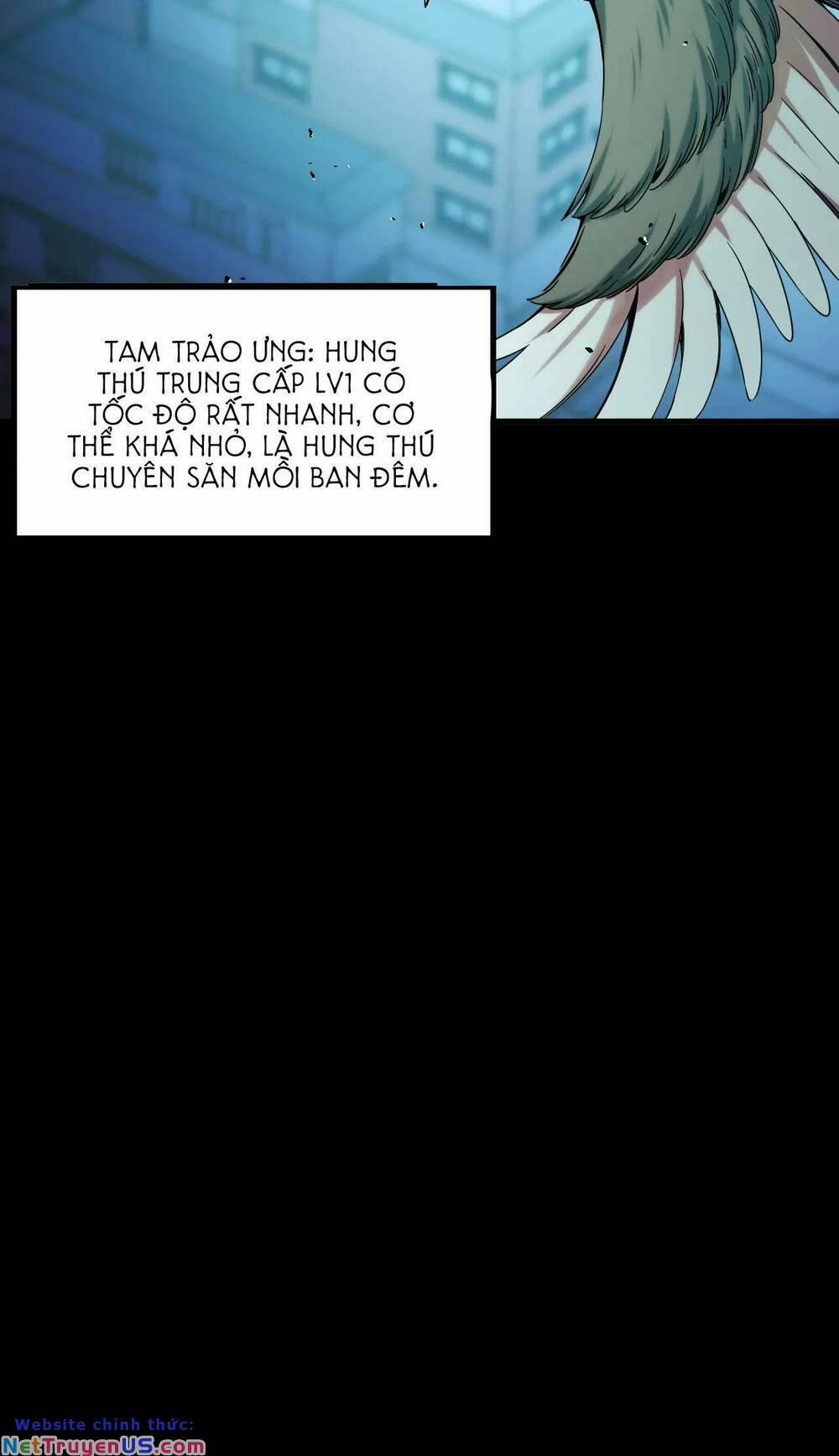 Ta Dựa Vào Thu Thập Vạn Vật Để Thăng Cấp 19 trang 3