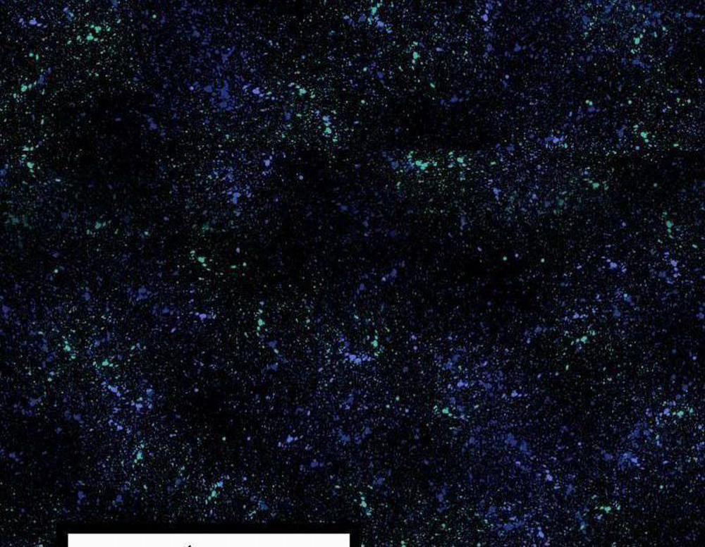 Ta Là Tà Đế 514 trang 32