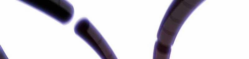 Ta Là Trùm 44 trang 481