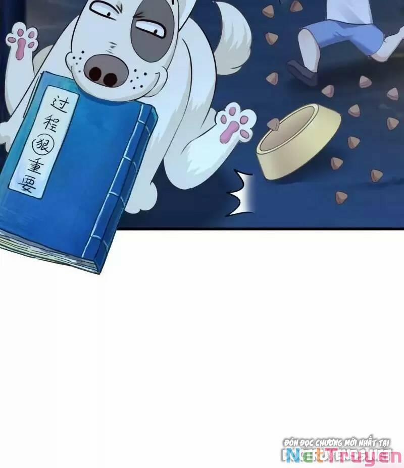 Ta Ở Địa Phủ Mở Hậu Cung 87 trang 39