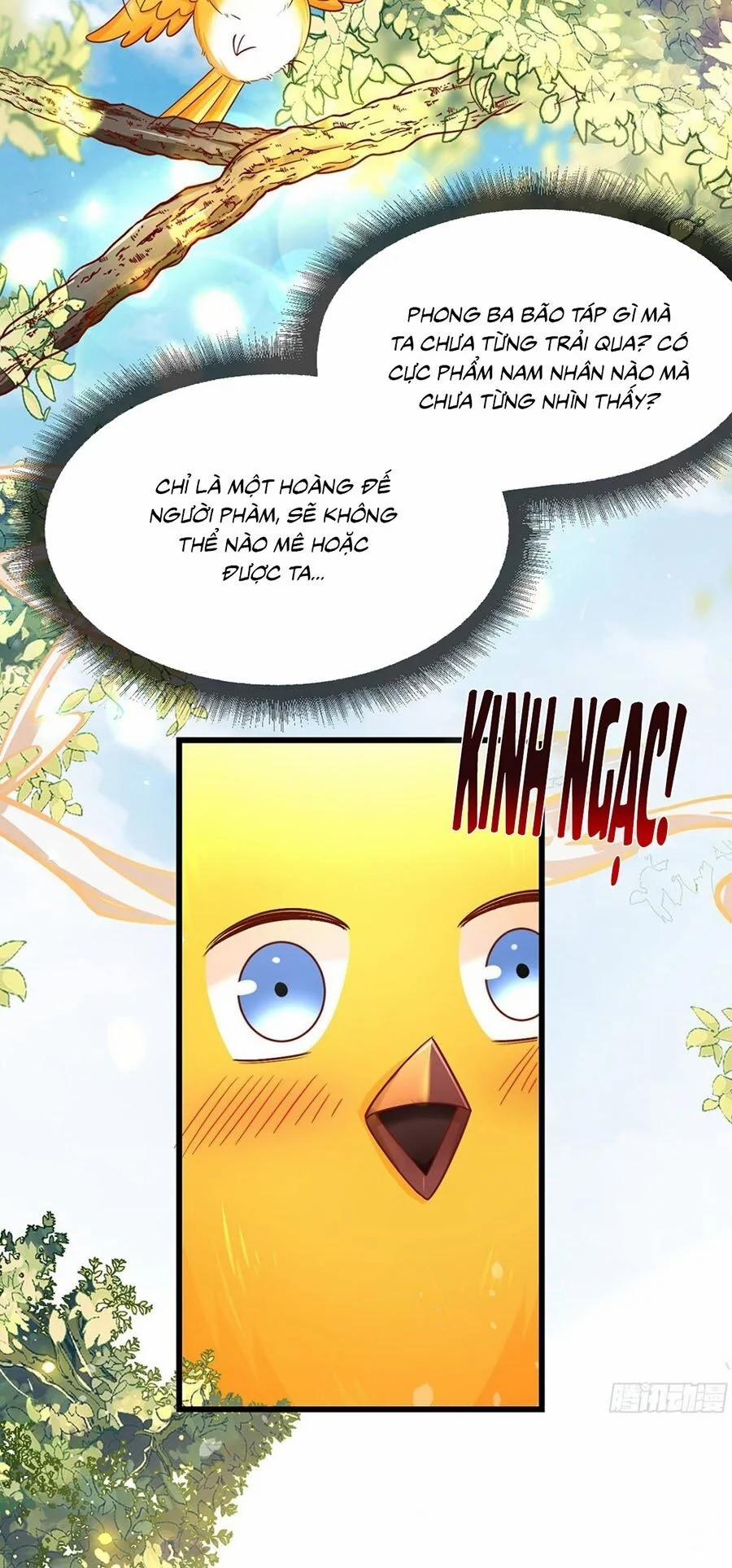 Ta Ở Hậu Cung Làm Lão Đại 1 trang 10