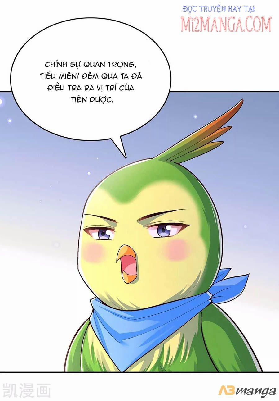 Ta Ở Hậu Cung Làm Lão Đại 114 trang 10