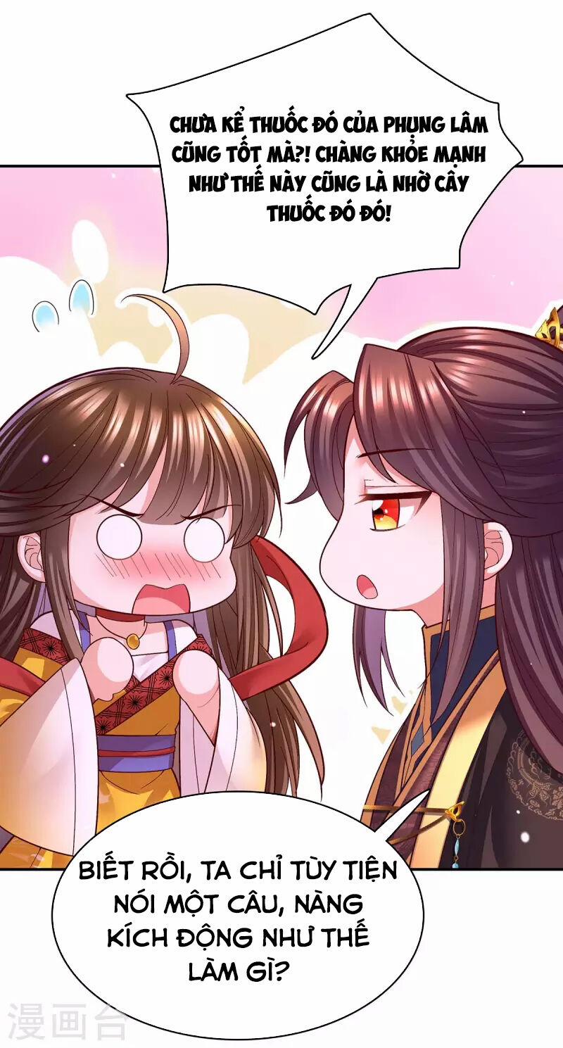 Ta Ở Hậu Cung Làm Lão Đại 117 trang 4