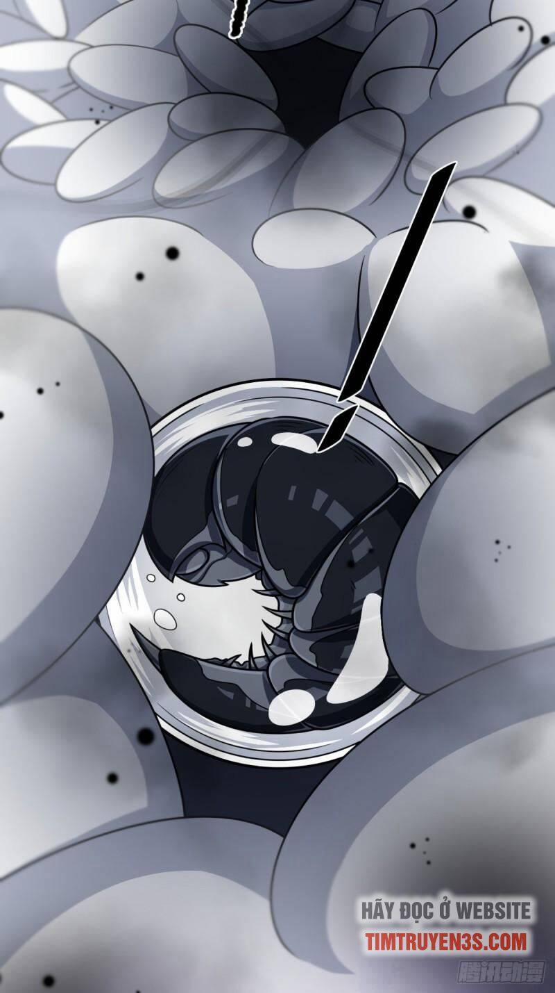 Ta Ở Nhà 100 Năm Khi Ra Ngoài Đã Vô Địch 2 trang 30