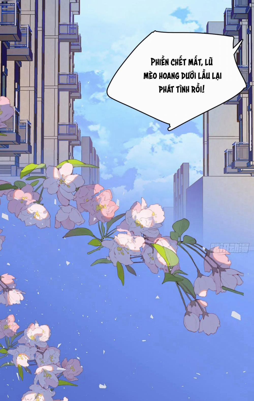 Tà Thần Của Riêng Tôi 9.5 trang 26