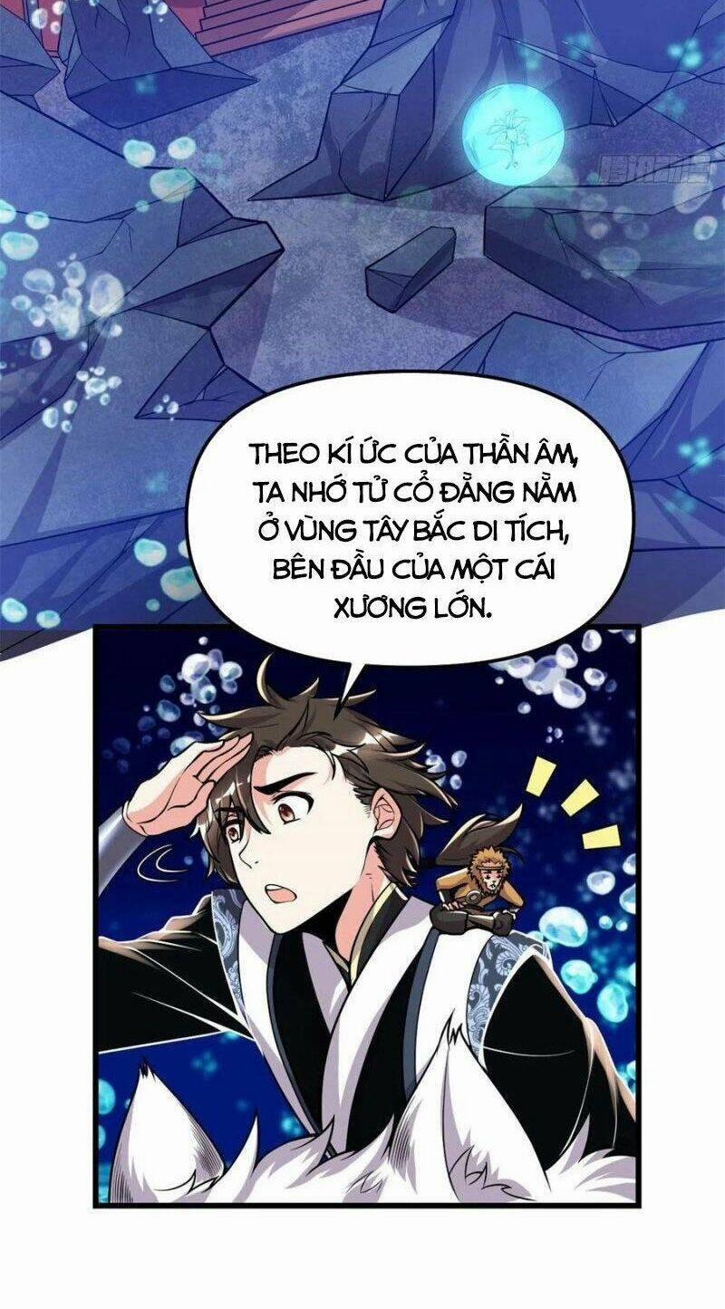 Ta Tu Có Lẽ Là Giả Tiên 177 trang 11