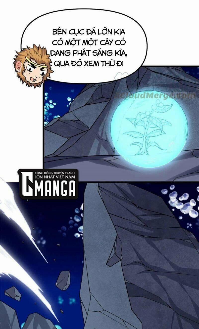 Ta Tu Có Lẽ Là Giả Tiên 177 trang 12