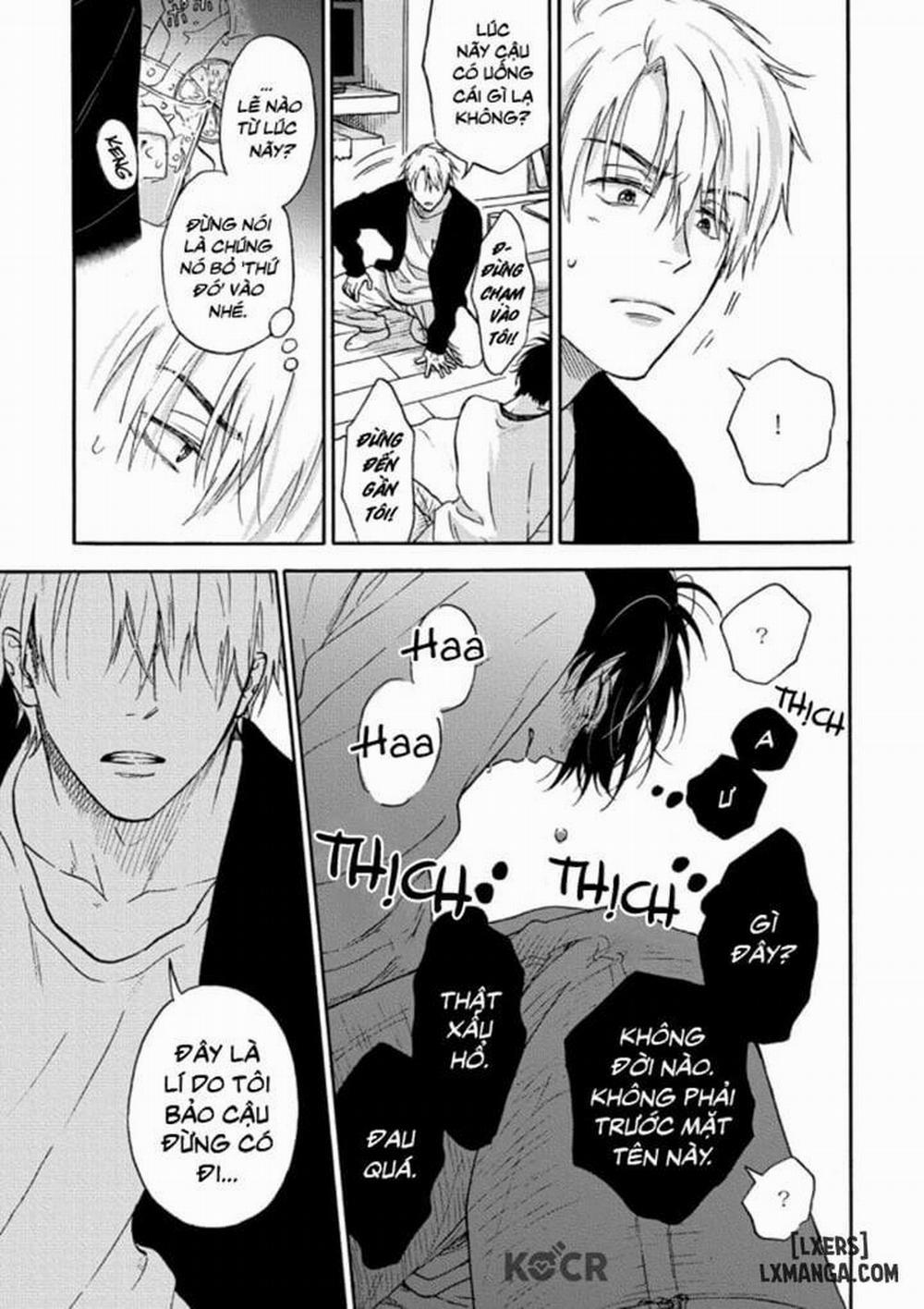 Tadareta Koi ni wa Itashimasen! 2 trang 24