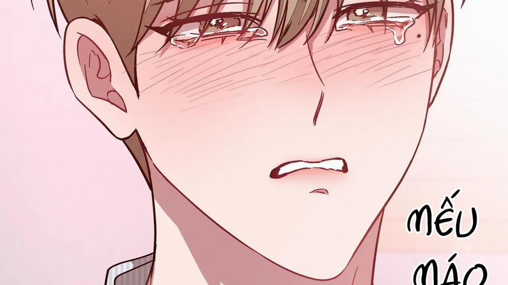 Tái Sinh [BL Manhwa] 31 trang 227