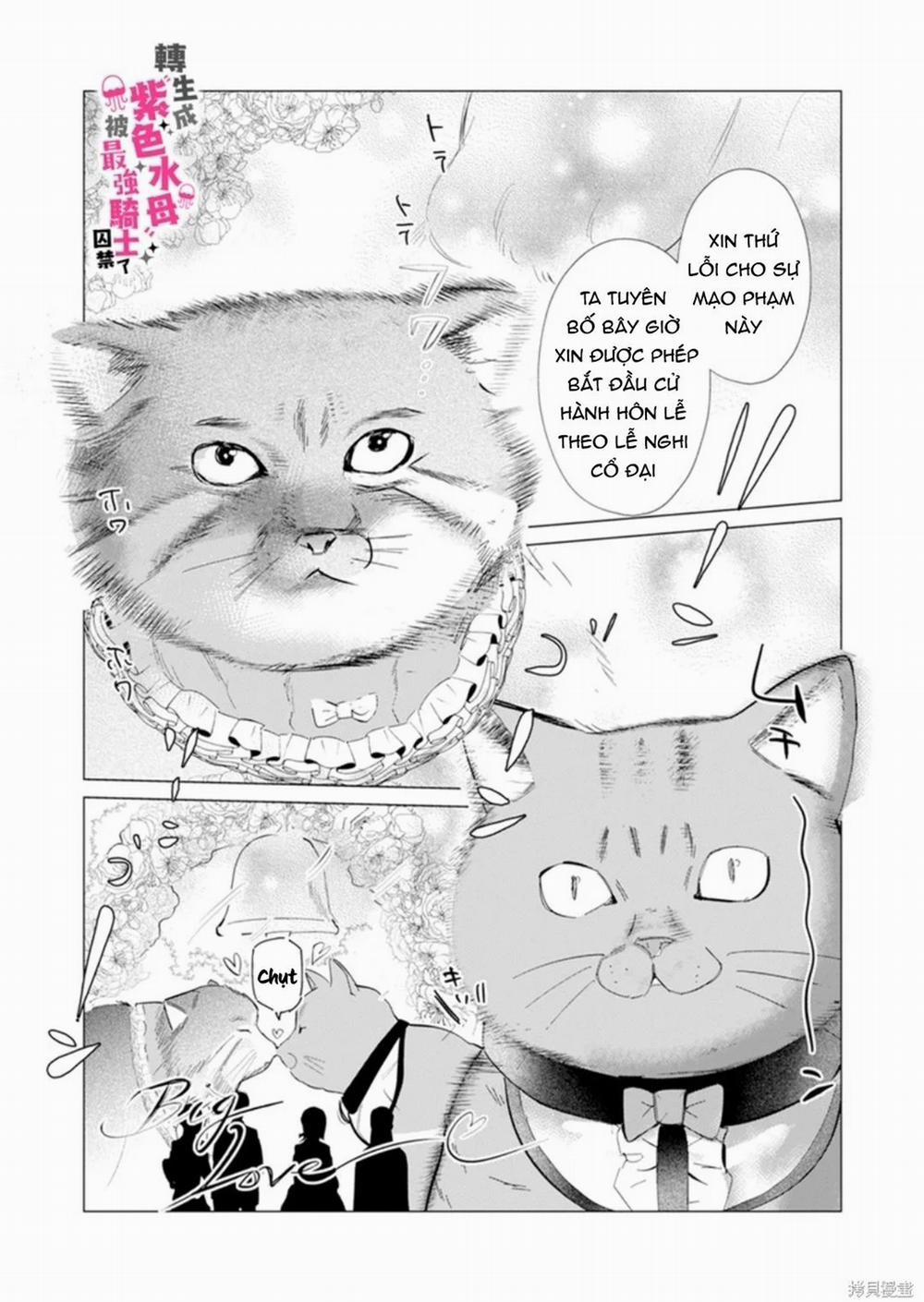 Tái Sinh Thành Ocr, Tôi Bị Hiệp Sĩ Mạnh Nhất Đế Quốc Giam Cầm 5.2 trang 12