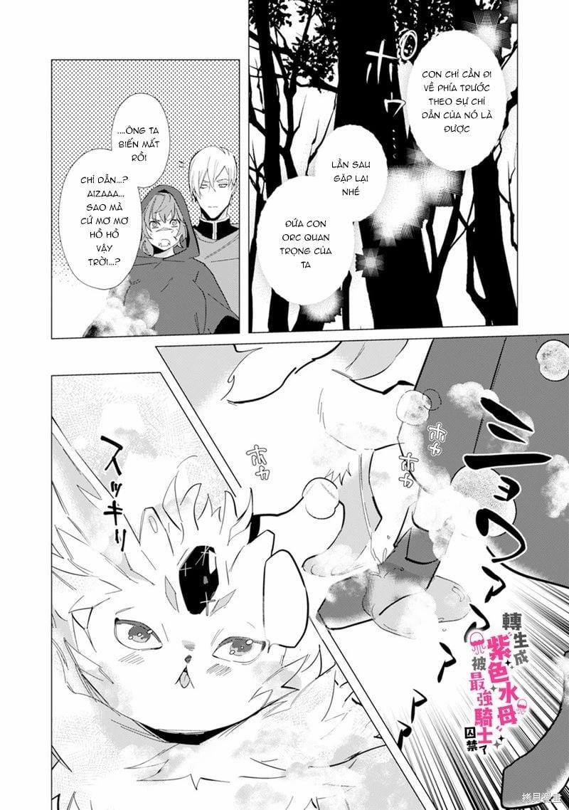 Tái Sinh Thành Ocr, Tôi Bị Hiệp Sĩ Mạnh Nhất Đế Quốc Giam Cầm 7.1 trang 4