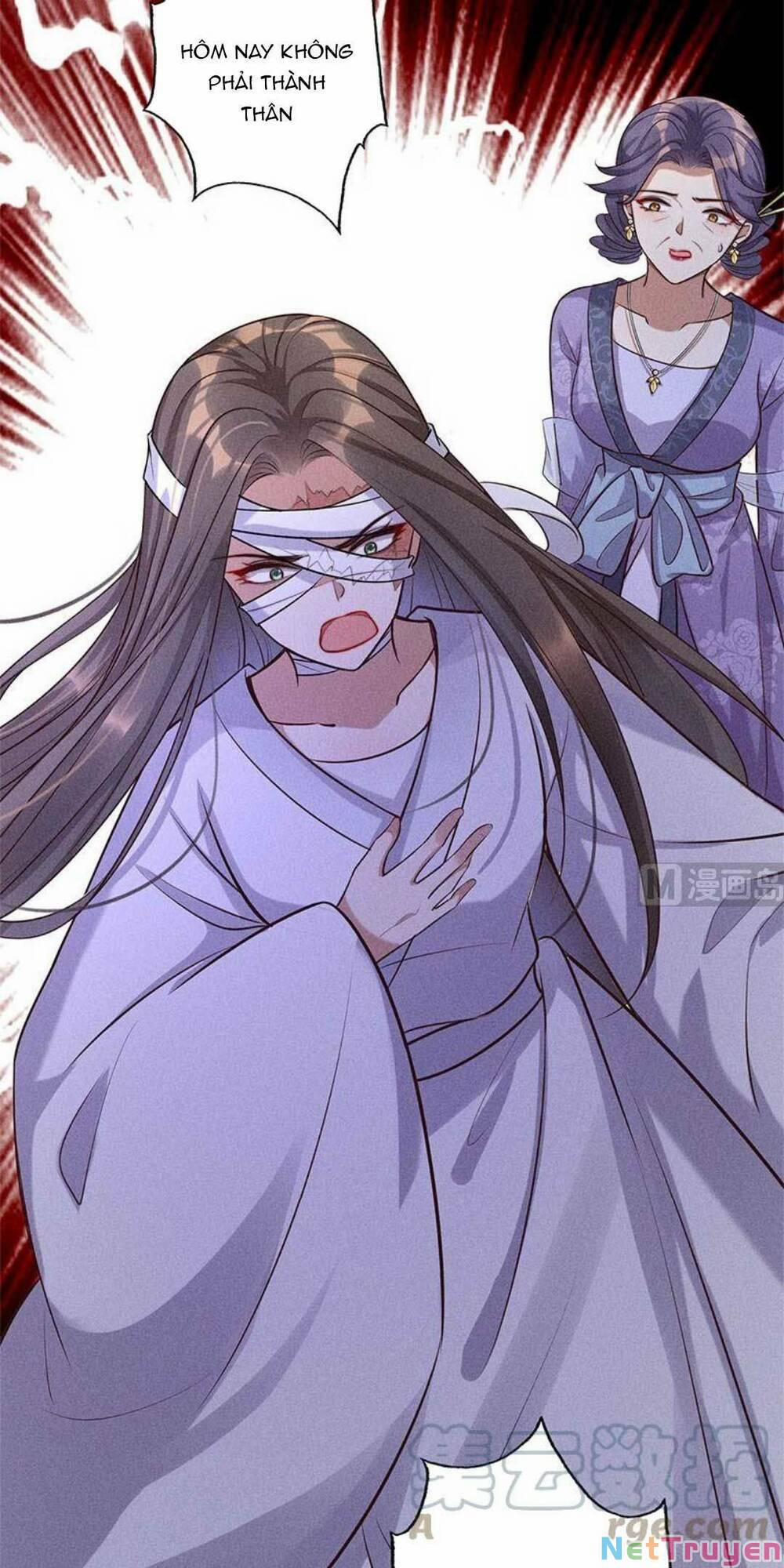 Tái Sinh Trở Lại : Ta Trở Thành Độc Y Thái Tử Phi 11 trang 11