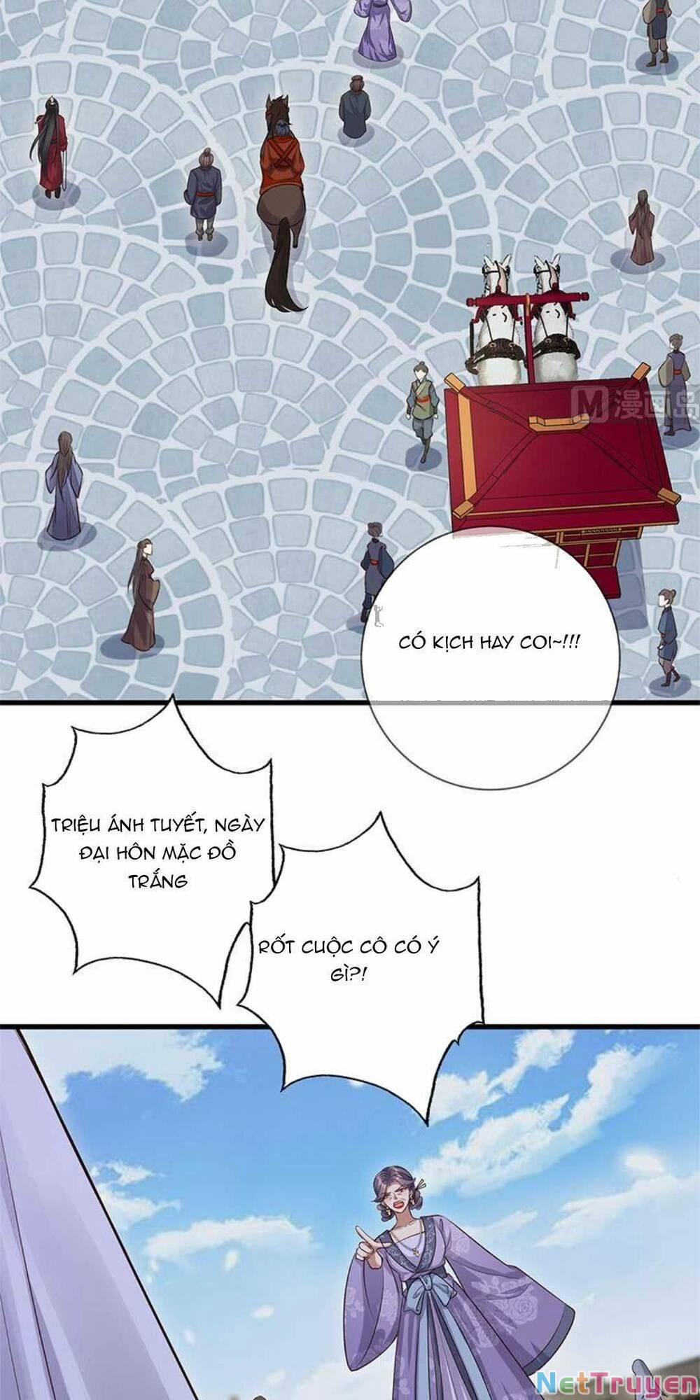 Tái Sinh Trở Lại : Ta Trở Thành Độc Y Thái Tử Phi 11 trang 2