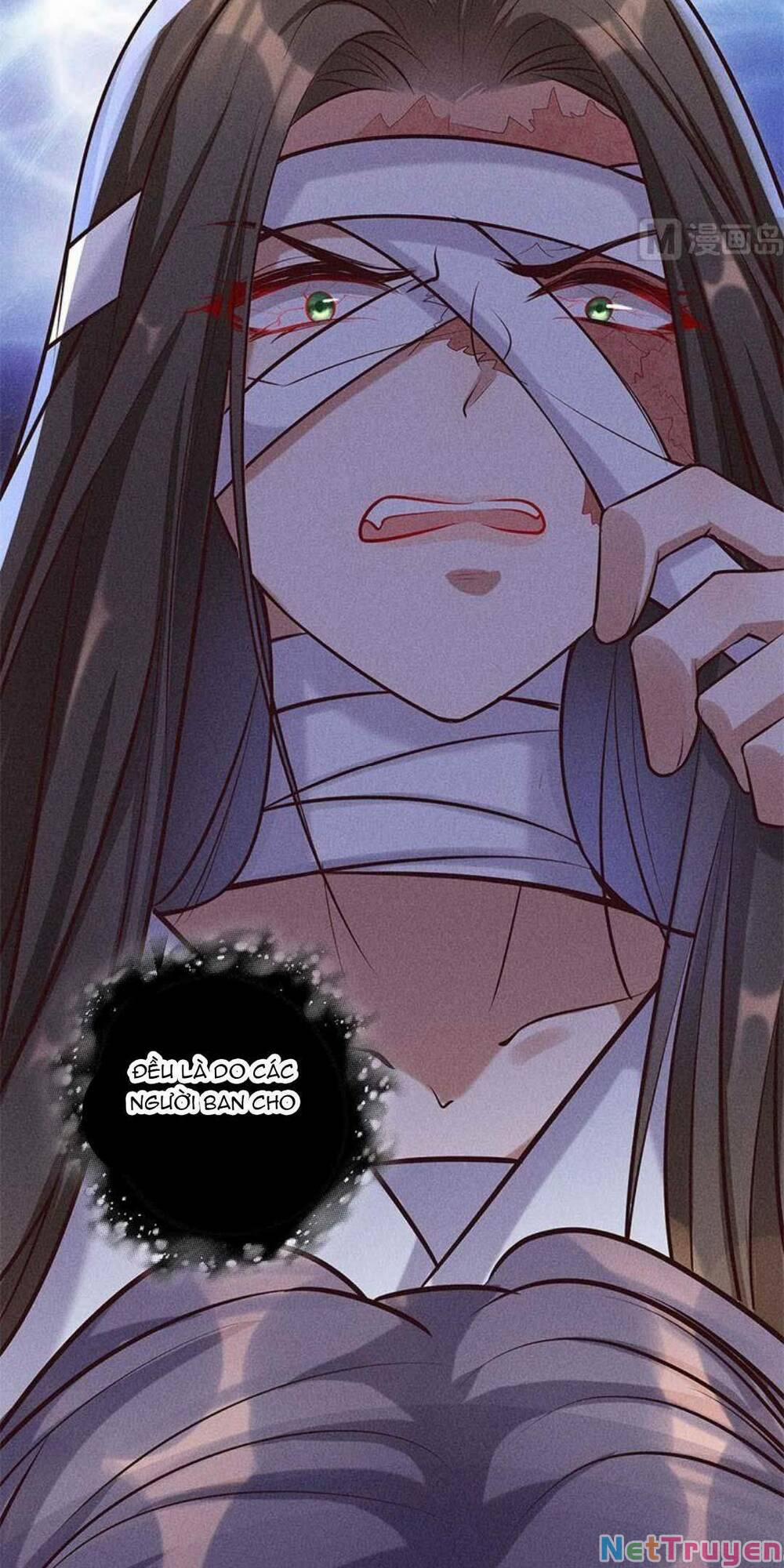 Tái Sinh Trở Lại : Ta Trở Thành Độc Y Thái Tử Phi 11 trang 9