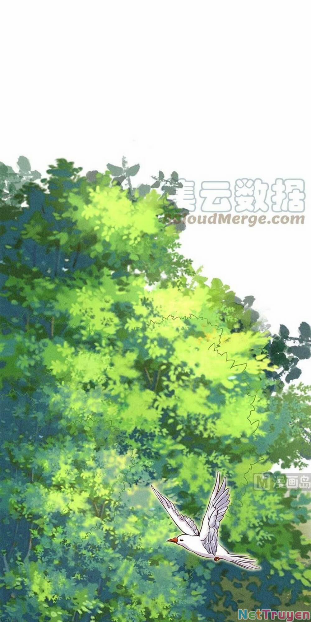 Tái Sinh Trở Lại : Ta Trở Thành Độc Y Thái Tử Phi 12 trang 44