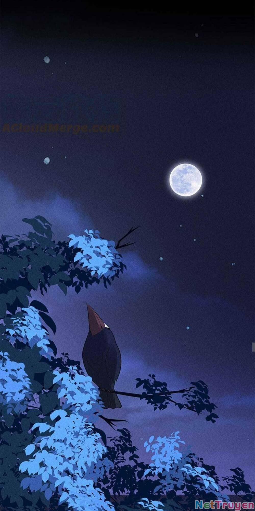 Tái Sinh Trở Lại : Ta Trở Thành Độc Y Thái Tử Phi 13 trang 22