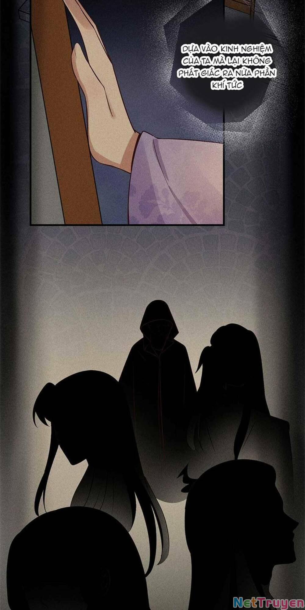 Tái Sinh Trở Lại : Ta Trở Thành Độc Y Thái Tử Phi 13 trang 5