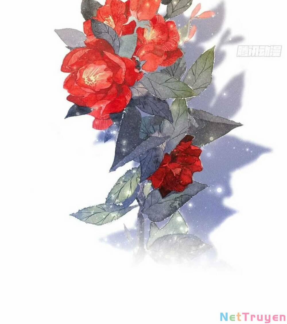 Tái Sinh Trở Lại : Ta Trở Thành Độc Y Thái Tử Phi 18 trang 56