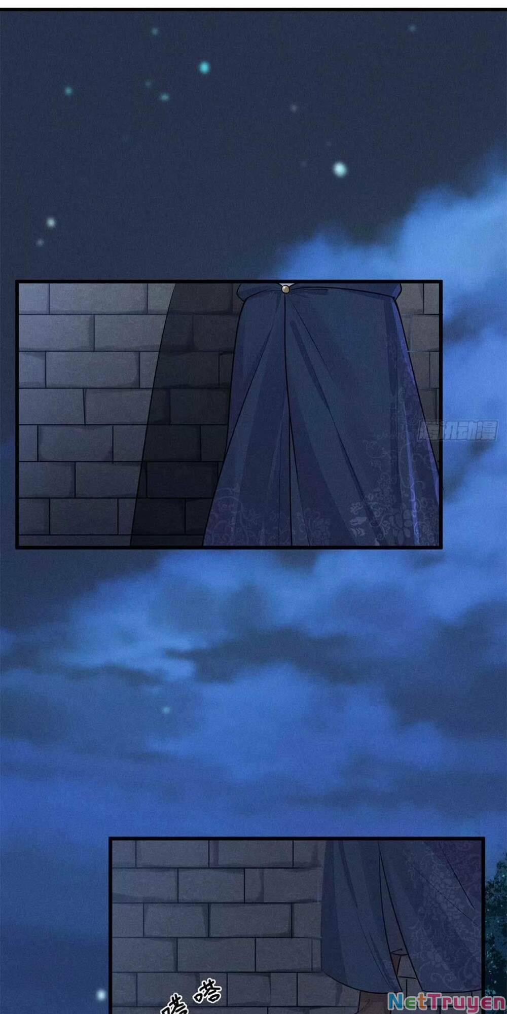 Tái Sinh Trở Lại : Ta Trở Thành Độc Y Thái Tử Phi 8 trang 2