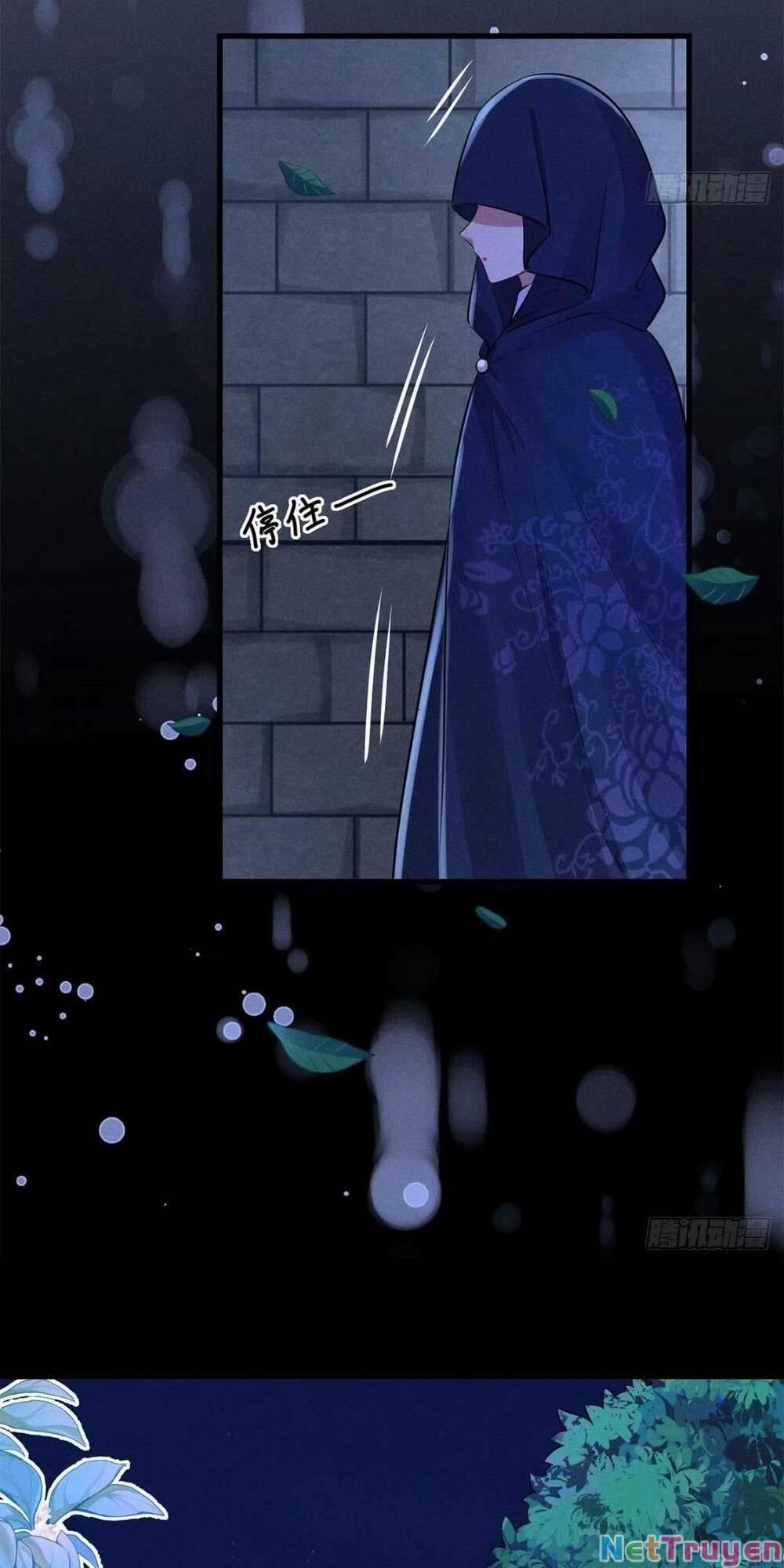 Tái Sinh Trở Lại : Ta Trở Thành Độc Y Thái Tử Phi 8 trang 26