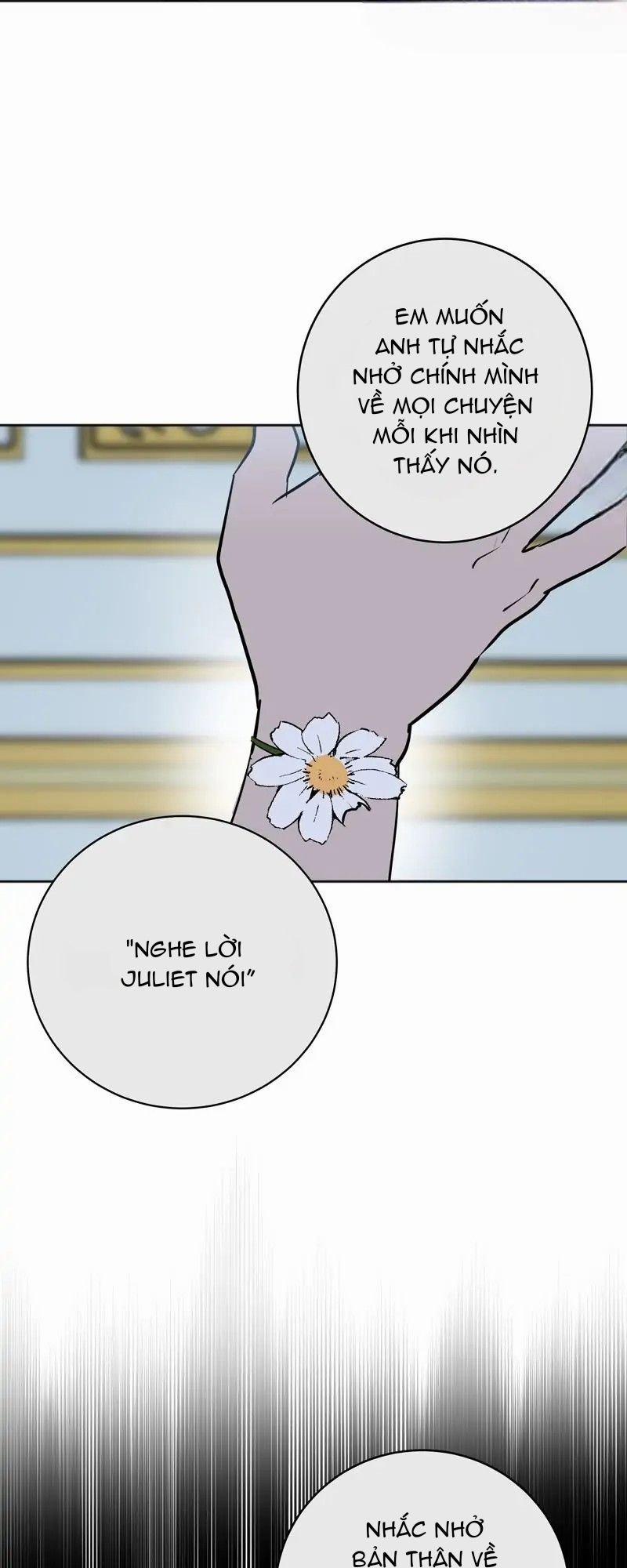Tạm Biệt Juliet Của Ta 12.1 trang 19