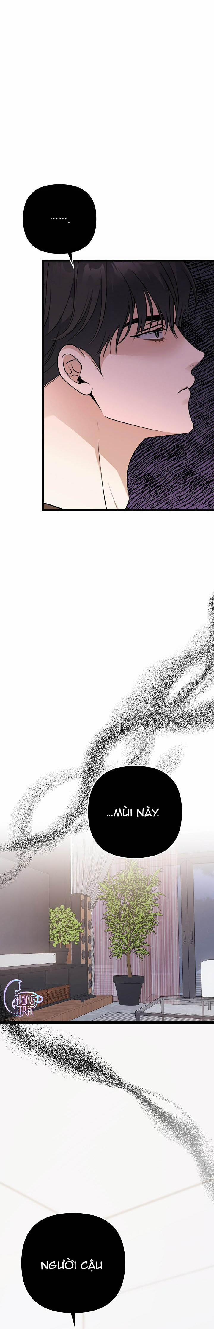 Tắm Nắng 51 trang 5