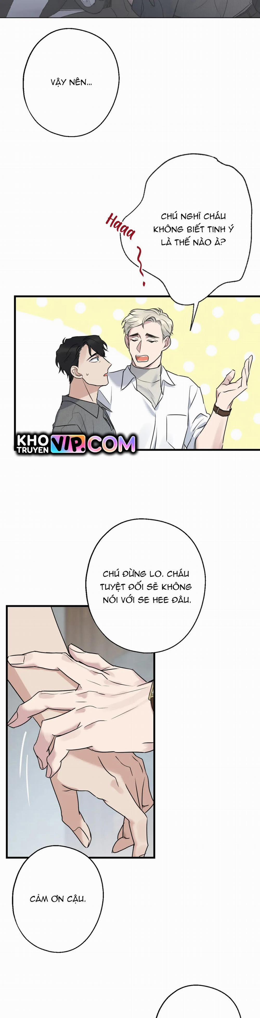 Tầm Ngắm 12 trang 29