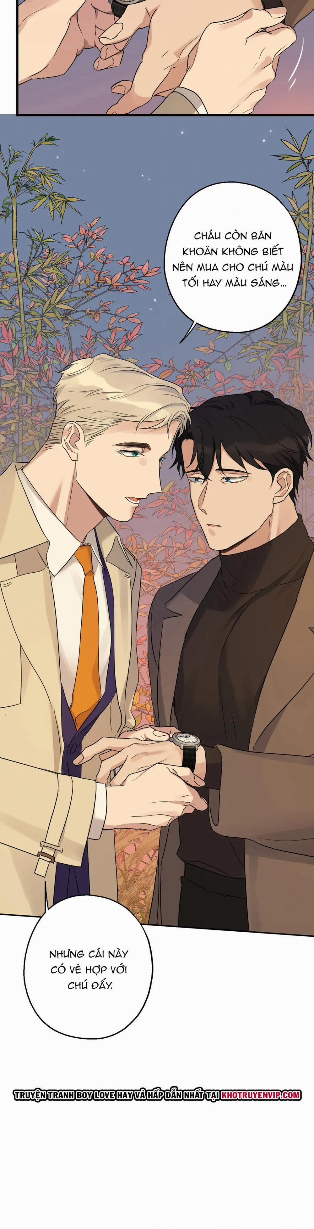 Tầm Ngắm 14 trang 15