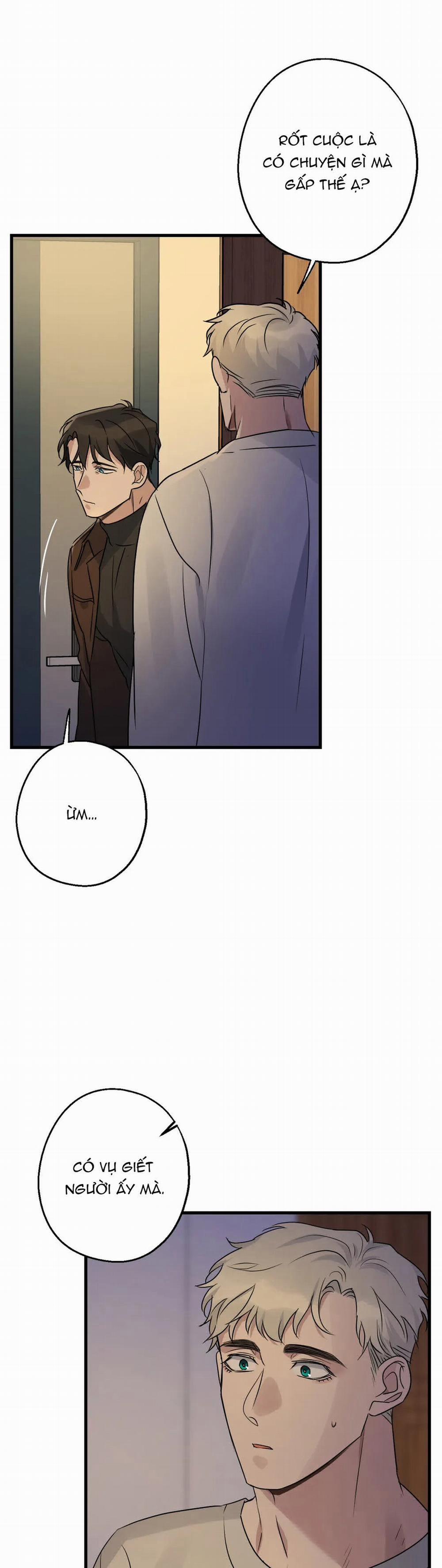Tầm Ngắm 14 trang 28