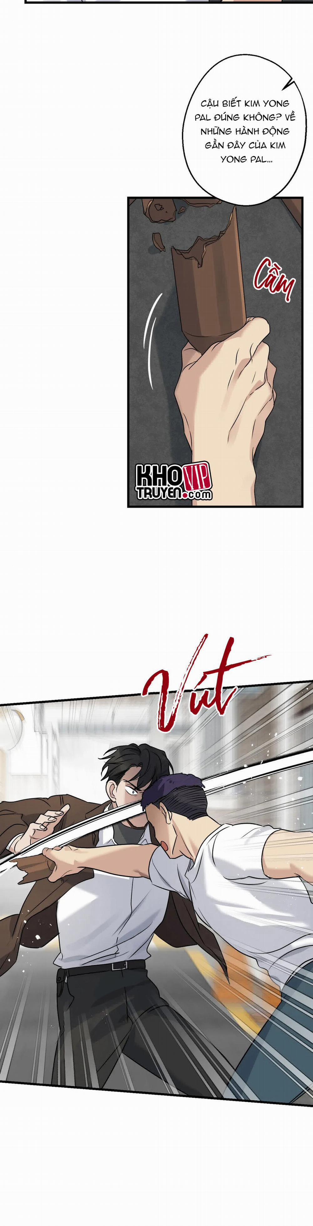 Tầm Ngắm 15 trang 15
