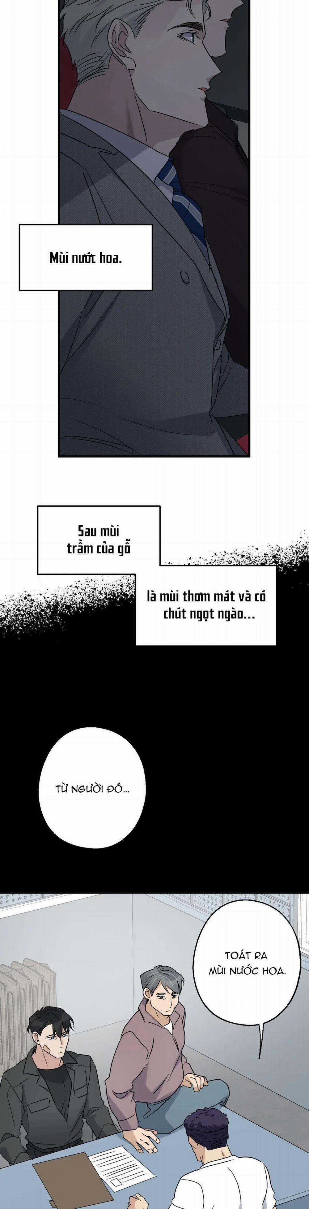 Tầm Ngắm 16 trang 19