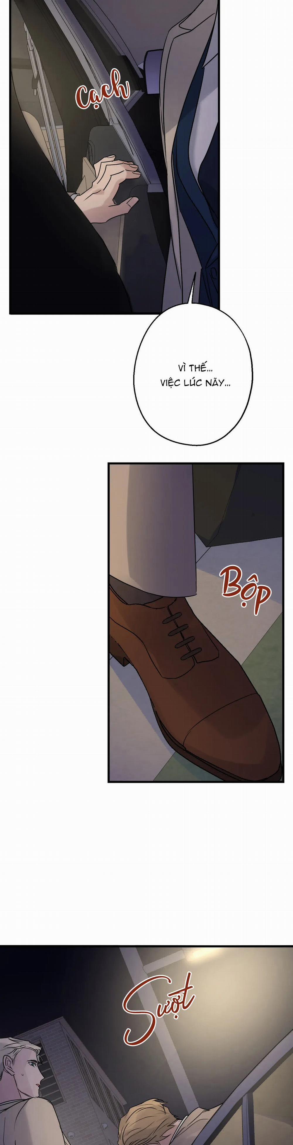 Tầm Ngắm 17.1 trang 17