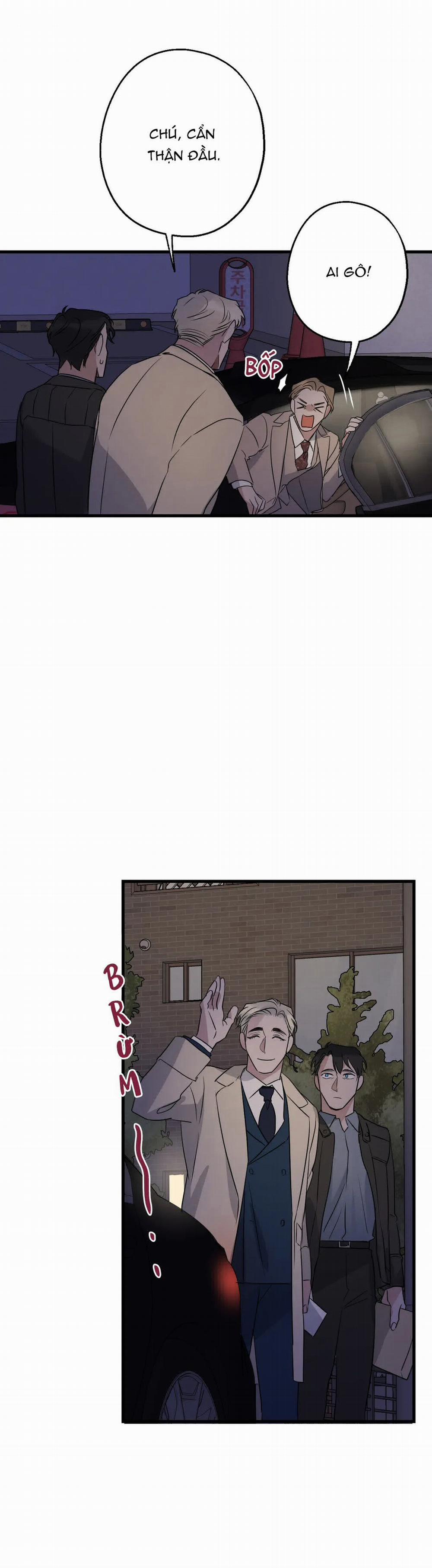 Tầm Ngắm 17.1 trang 41