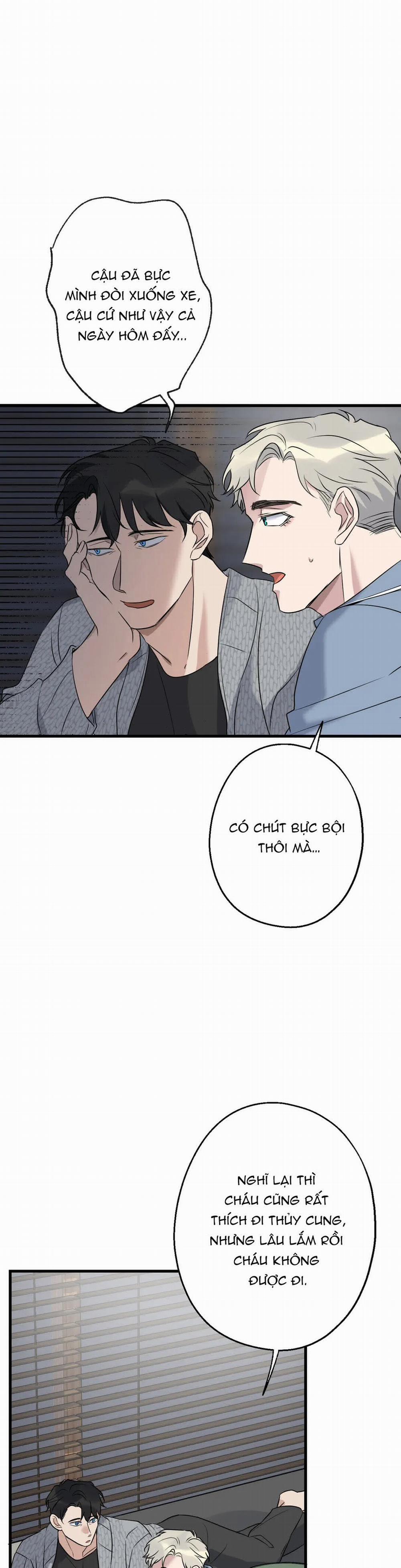 Tầm Ngắm 18 trang 15