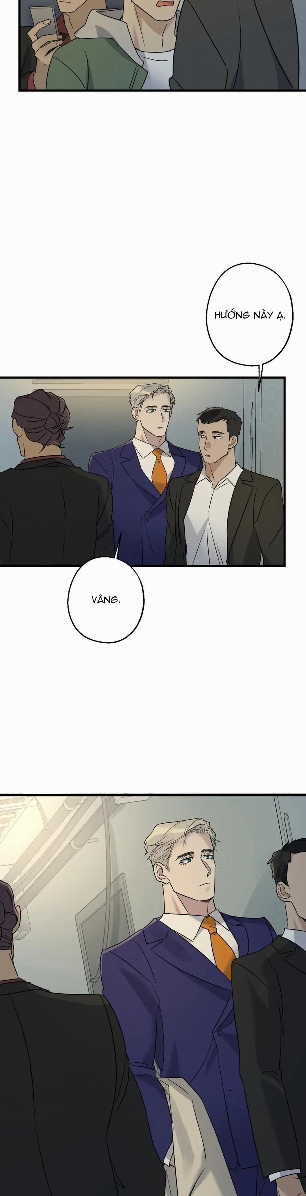 Tầm Ngắm 19 trang 12