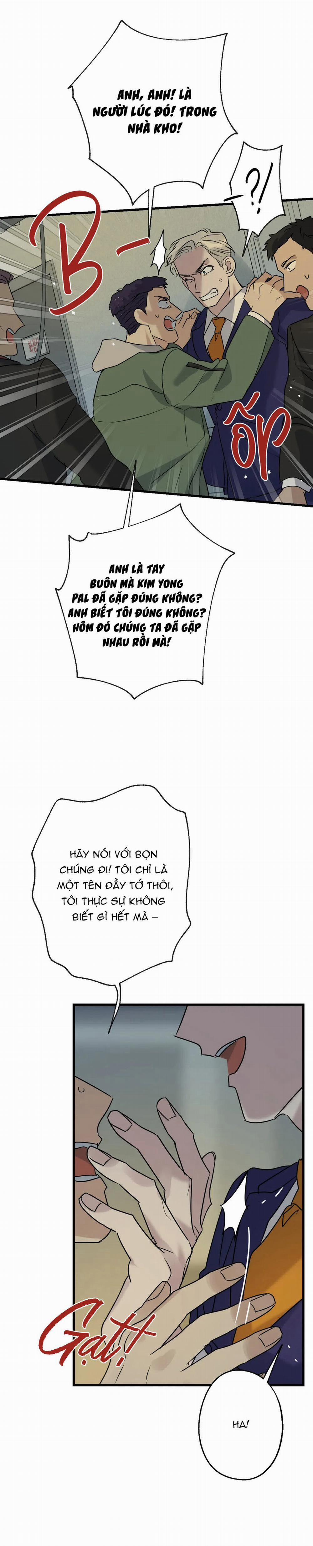 Tầm Ngắm 19 trang 14