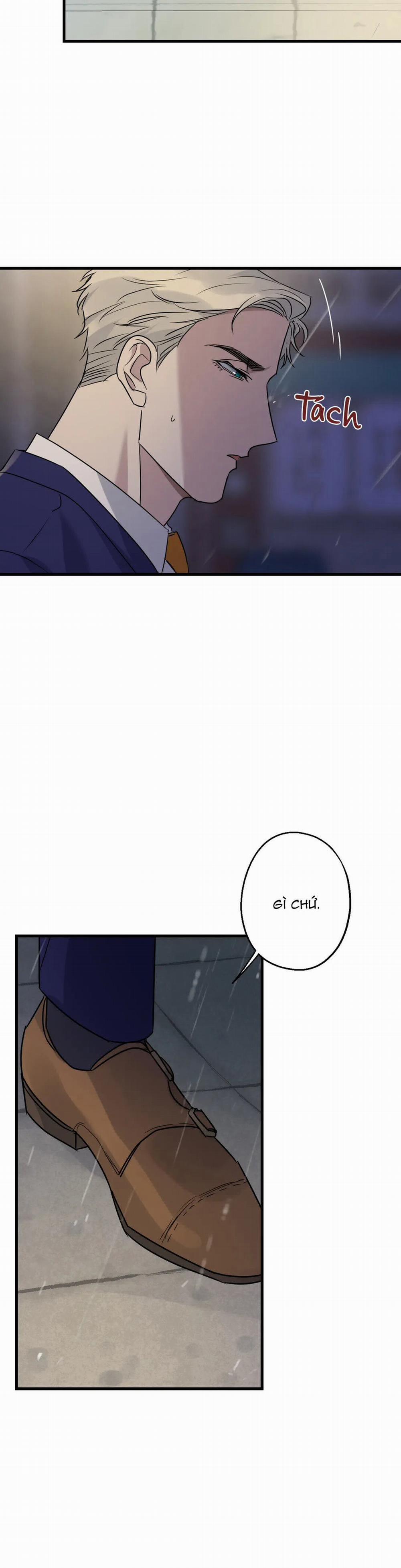Tầm Ngắm 19 trang 17