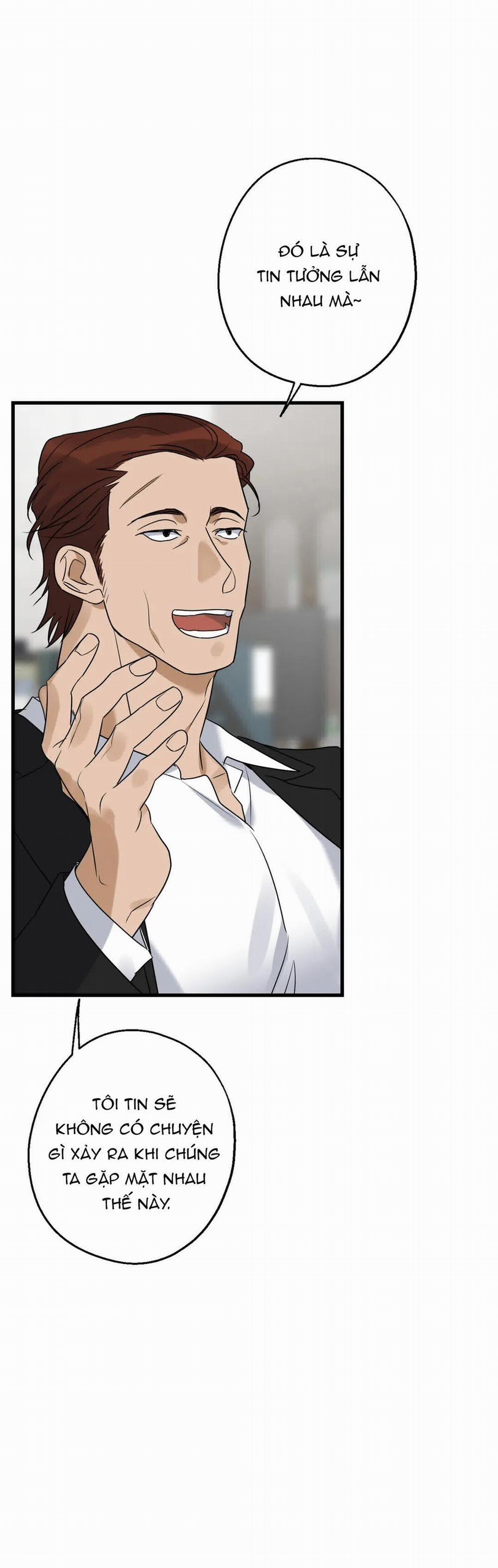 Tầm Ngắm 19 trang 8